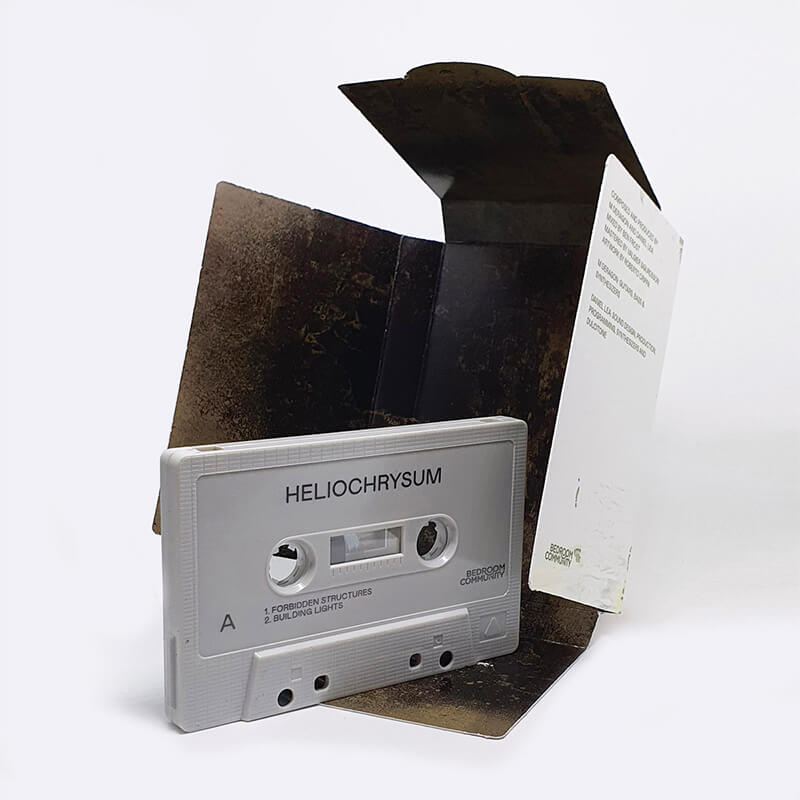 Heliochrysum_FT_tape2